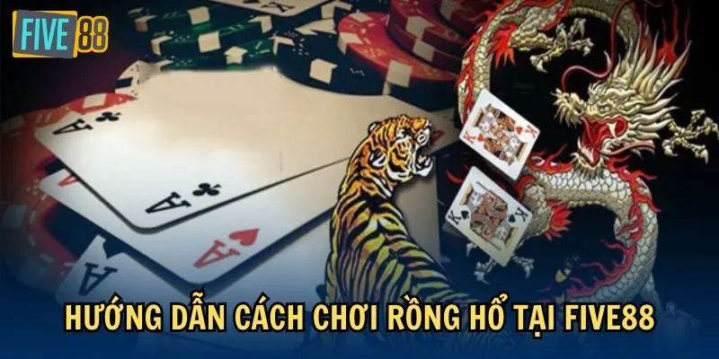 Hướng dẫn cách chơi Rồng Hổ tại Five88